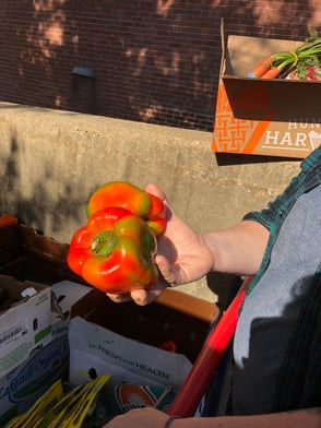 Hungry Harvest - Ending Food Waste