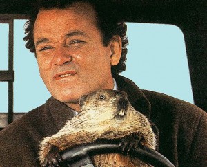 groundhog day