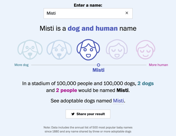 misti-dog-human-name